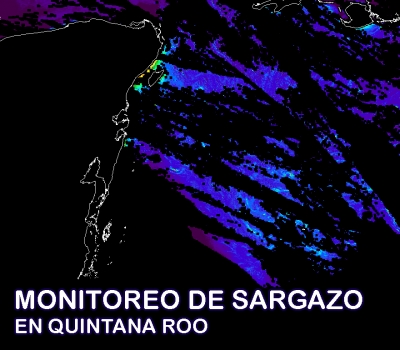 Monitoreo de Sargazo en Quintana Roo